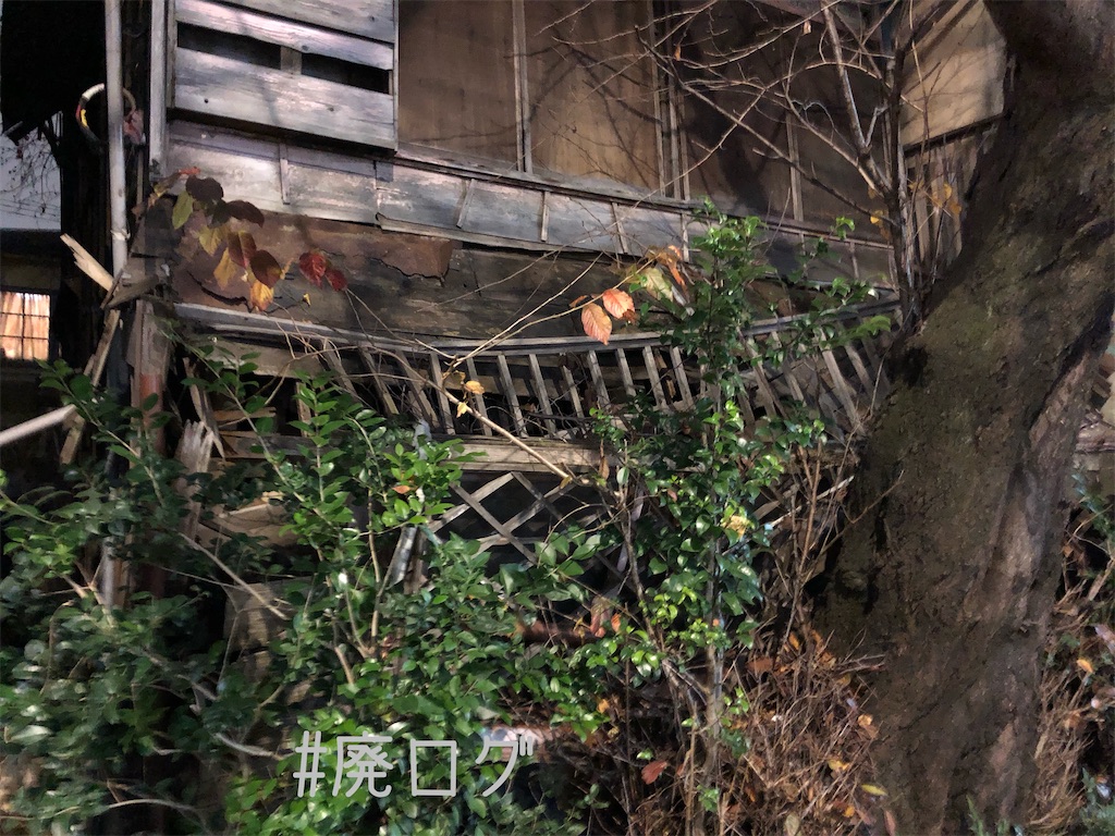 f:id:hiyapa:20191225195734j:image