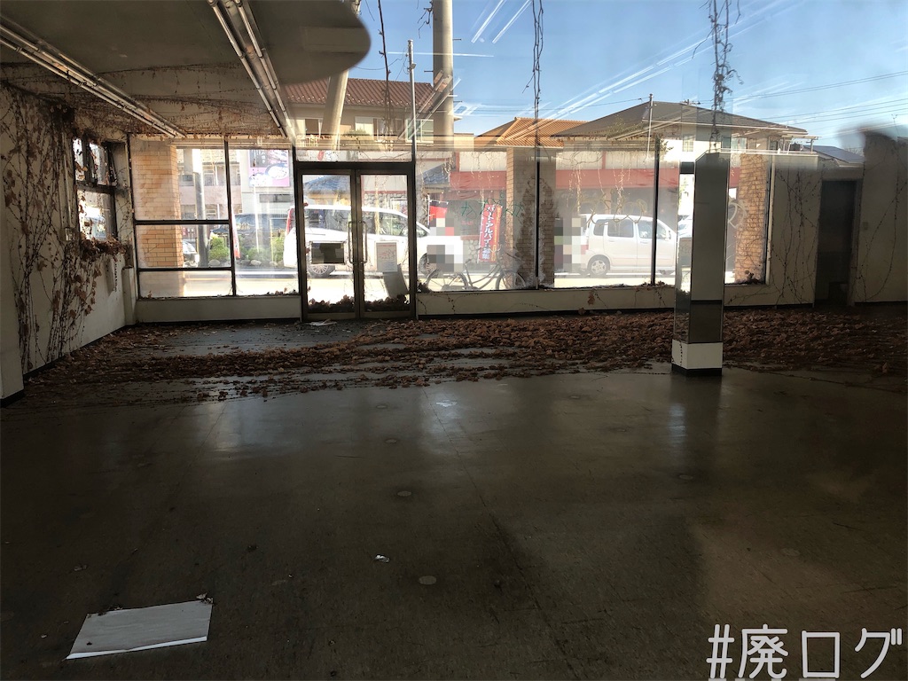 f:id:hiyapa:20191229221001j:image