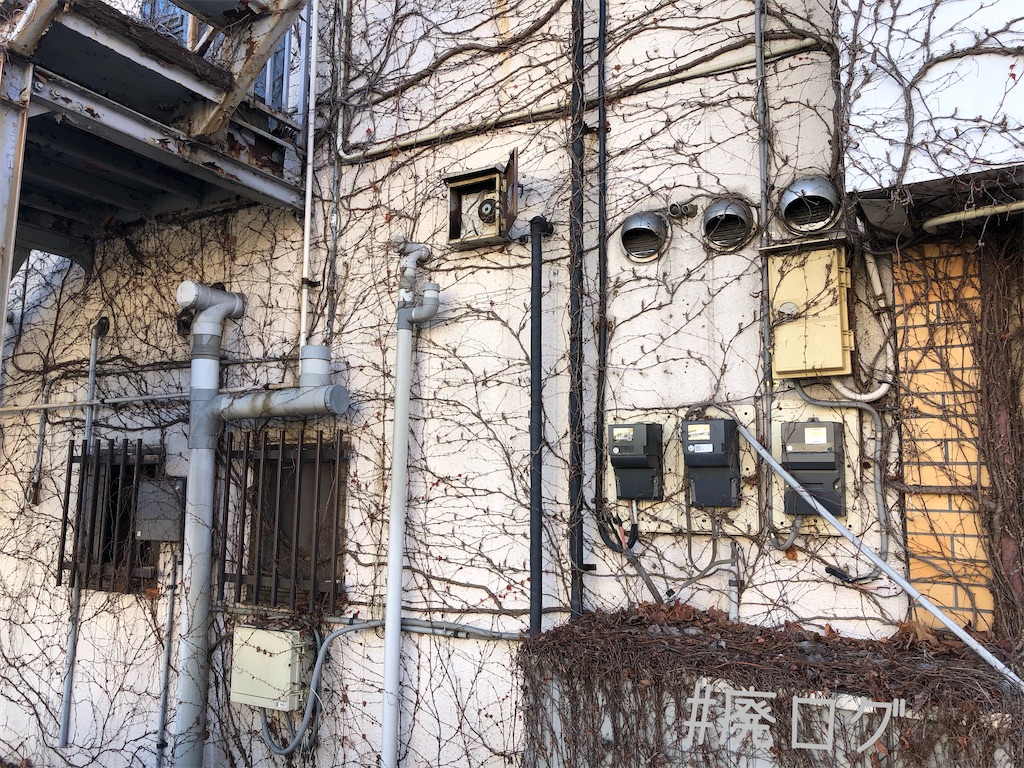 f:id:hiyapa:20191229221007j:image