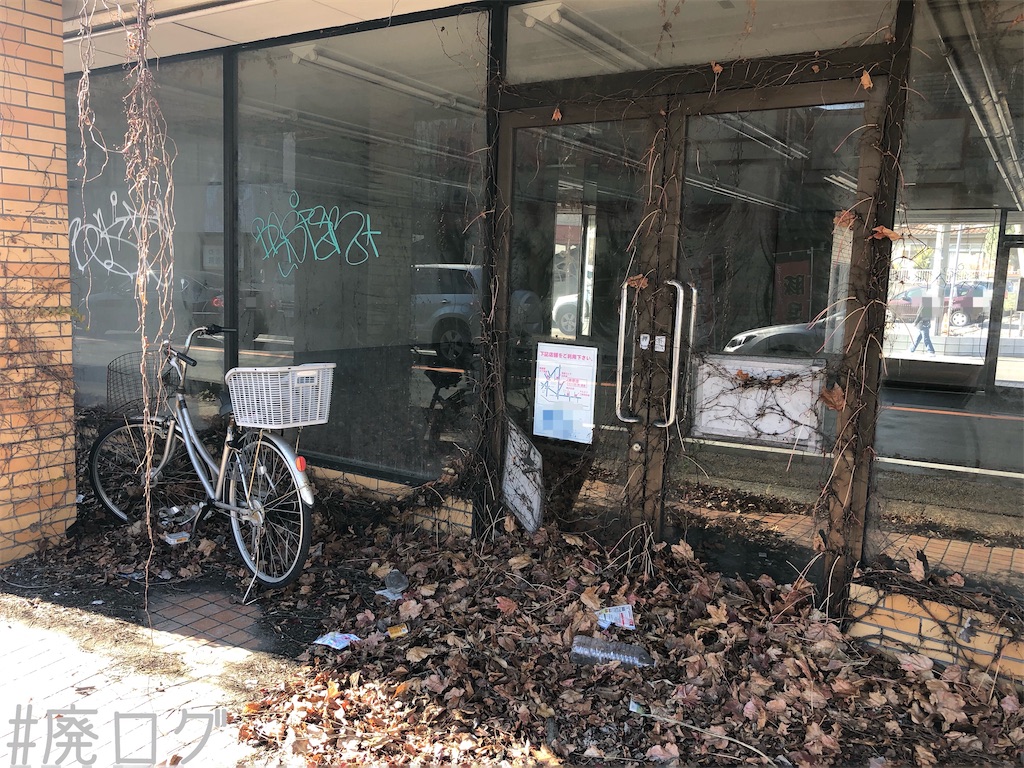 f:id:hiyapa:20191229221028j:image