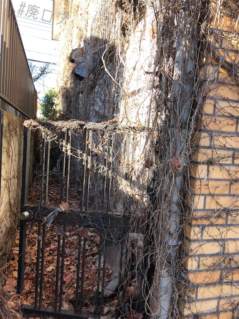 f:id:hiyapa:20191229221034j:image