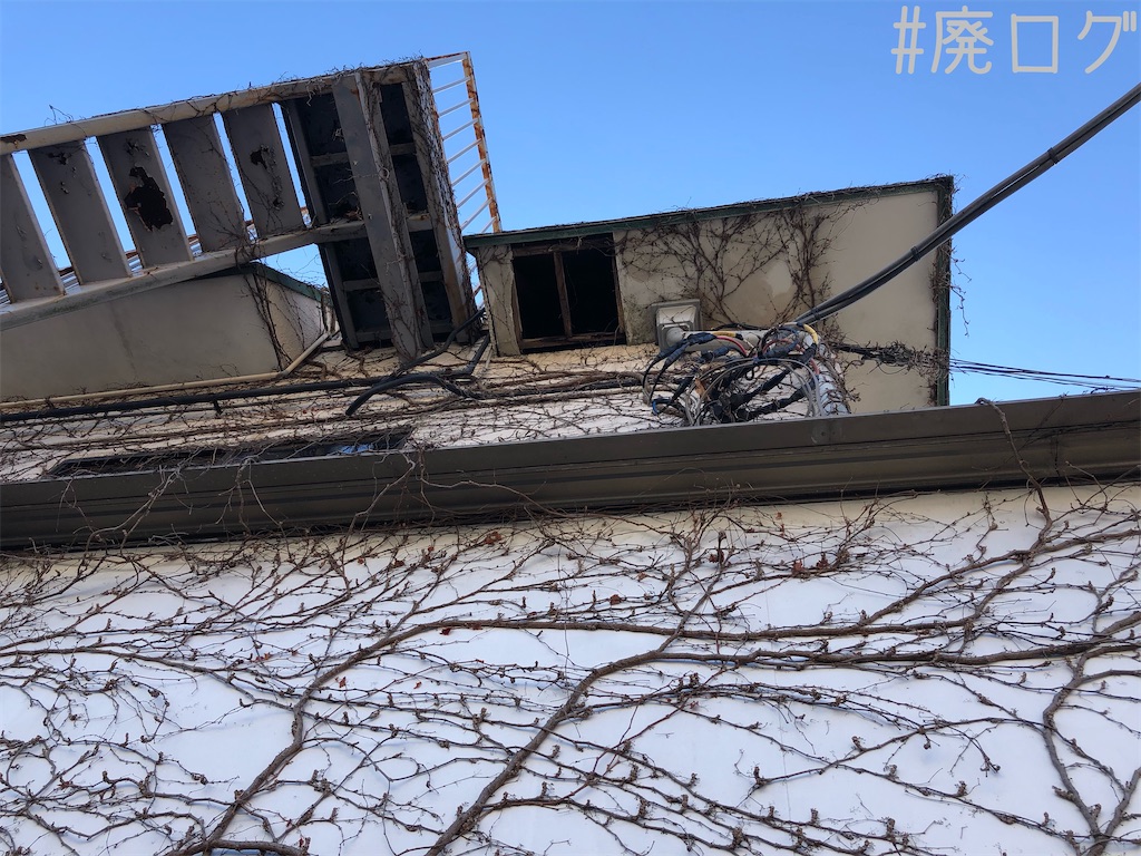 f:id:hiyapa:20191229221037j:image