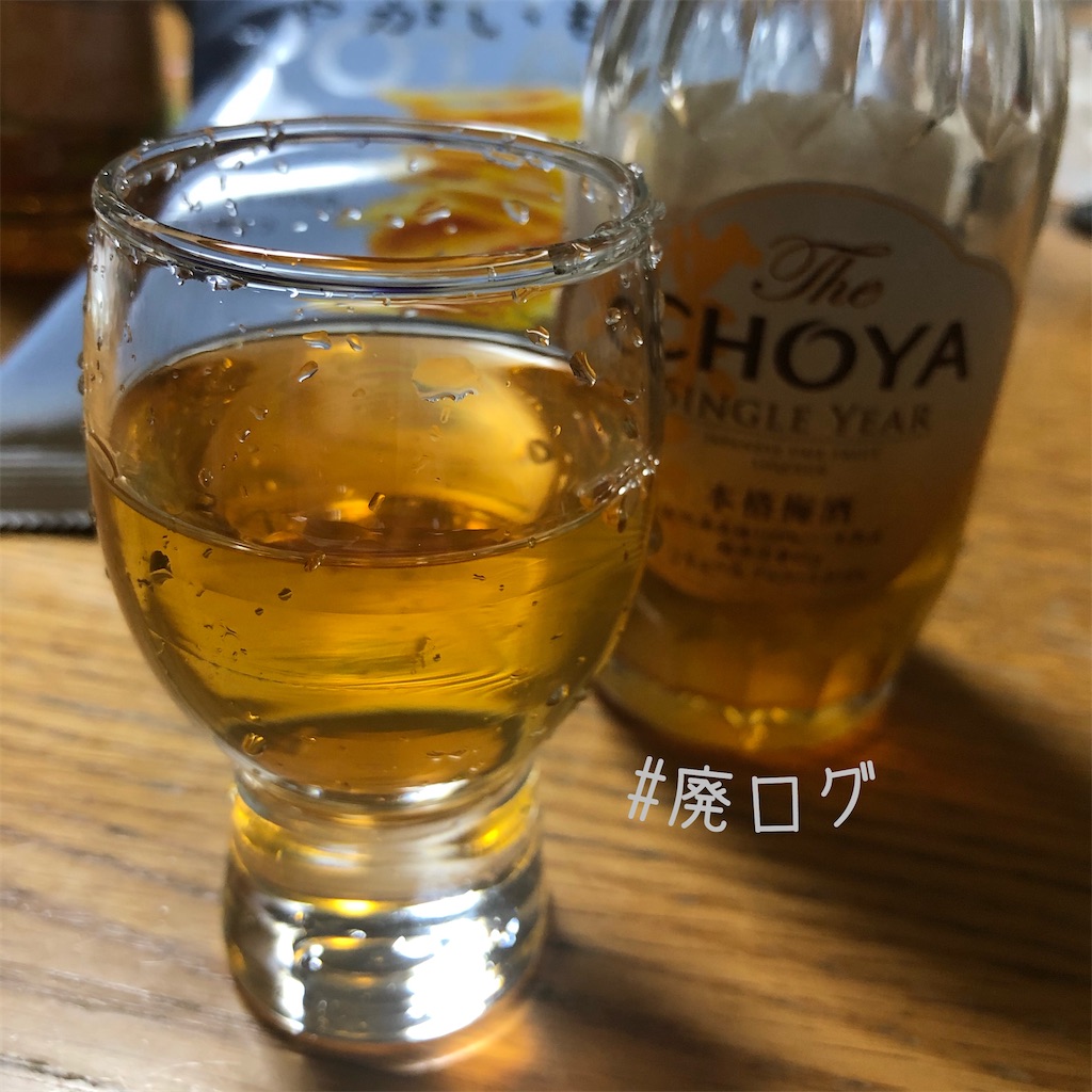 f:id:hiyapa:20200104211314j:image