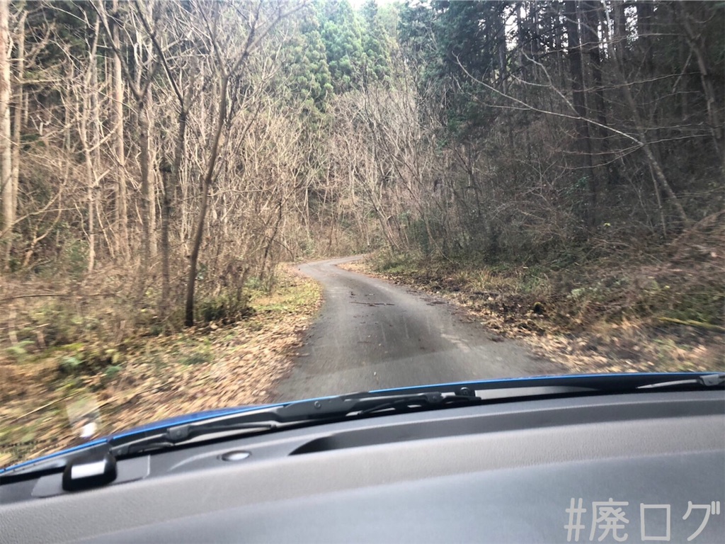 f:id:hiyapa:20200120231241j:image