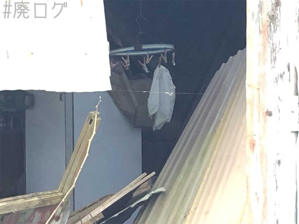 f:id:hiyapa:20200121201455j:image