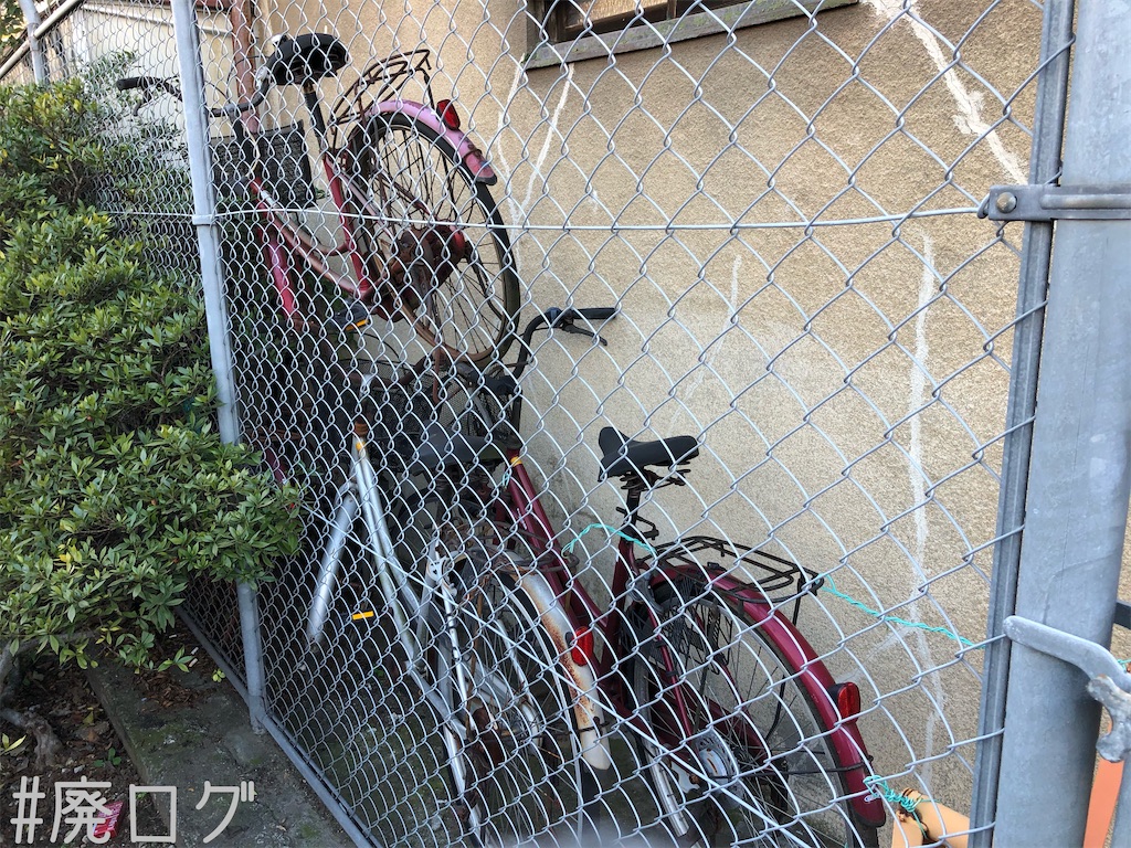 f:id:hiyapa:20200211183920j:image