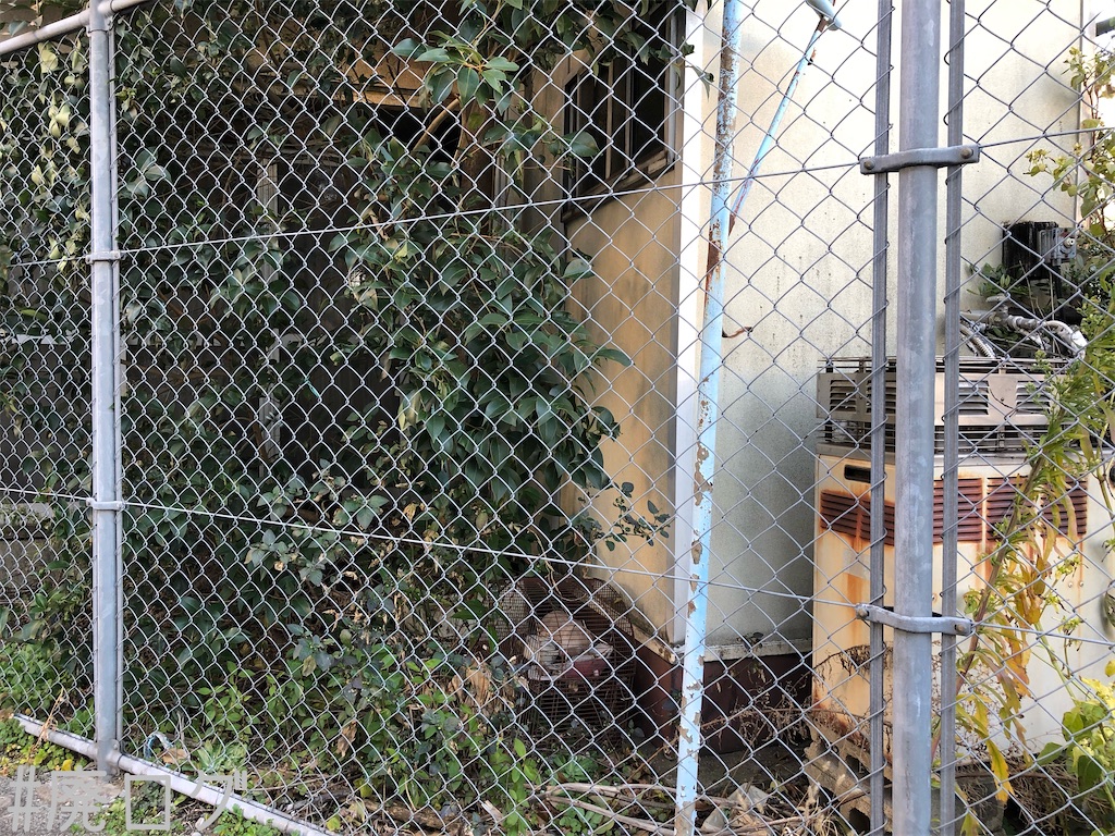 f:id:hiyapa:20200211183946j:image