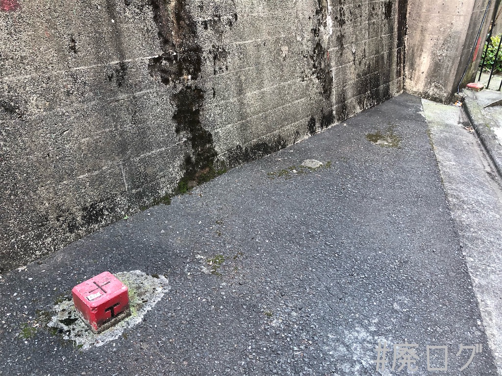 f:id:hiyapa:20200211183950j:image