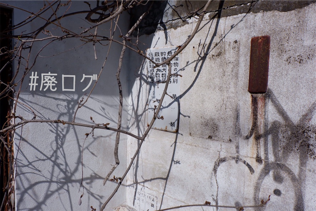 f:id:hiyapa:20200401200315j:image