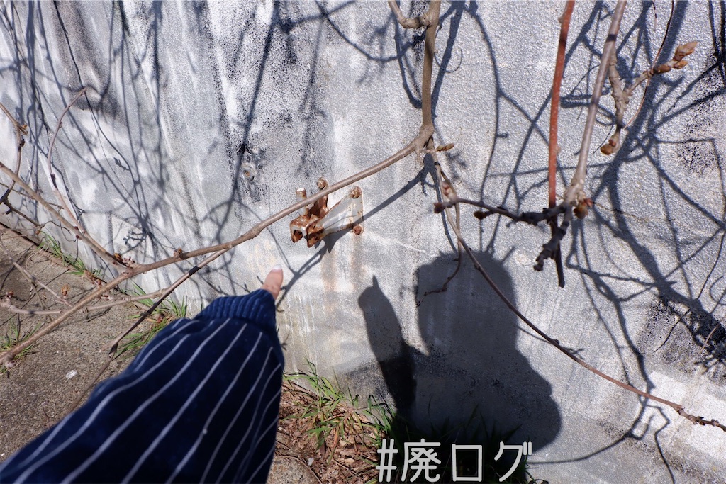 f:id:hiyapa:20200401200324j:image