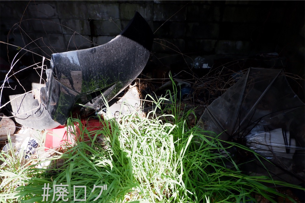 f:id:hiyapa:20200401200401j:image