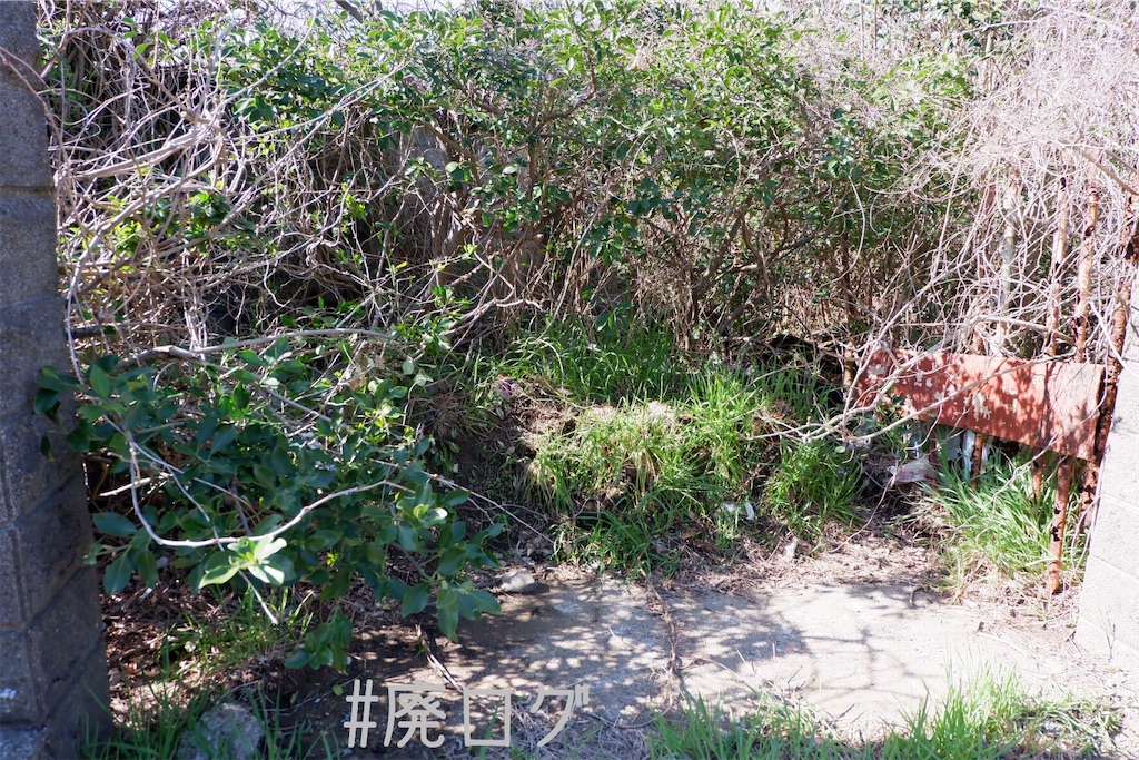 f:id:hiyapa:20200401200431j:image