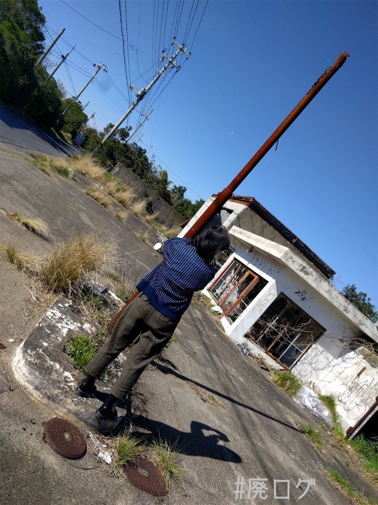 f:id:hiyapa:20200401200443j:image