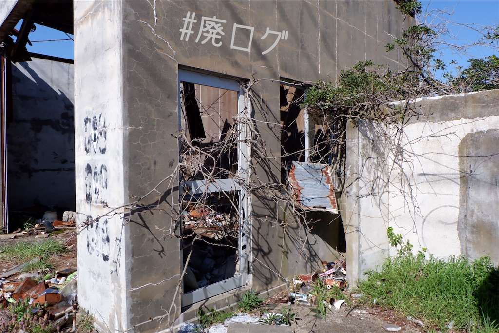 f:id:hiyapa:20200401200507j:image