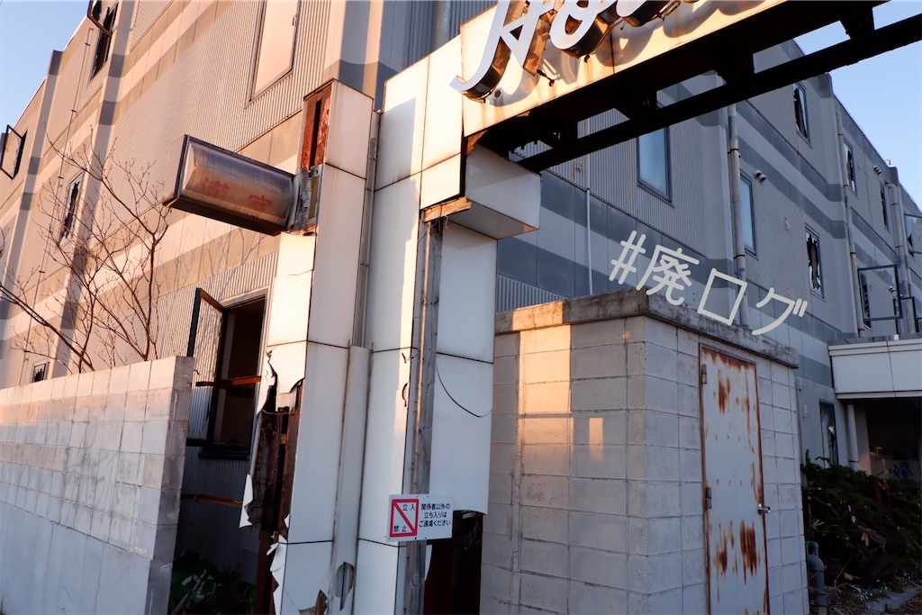 f:id:hiyapa:20200414195908j:image