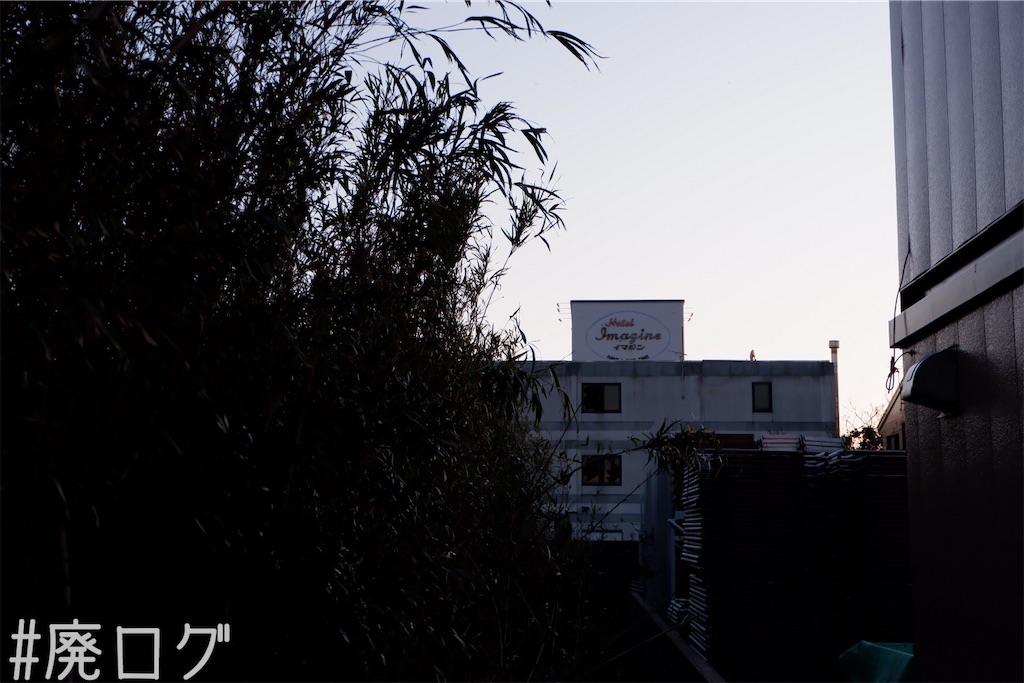 f:id:hiyapa:20200414195920j:image