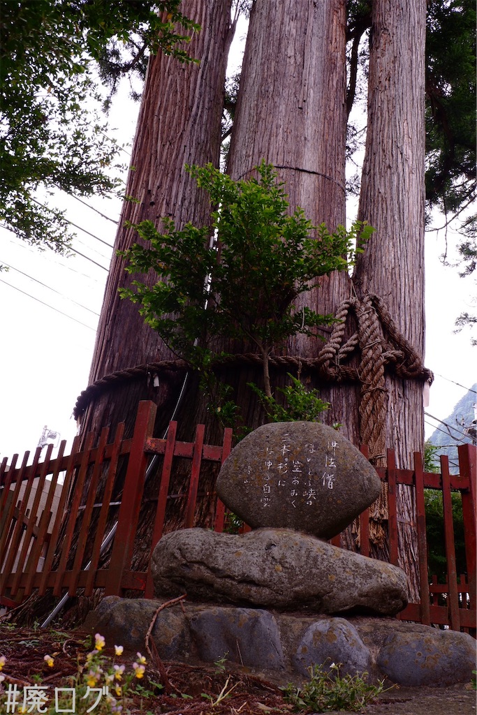 f:id:hiyapa:20200625192901j:image