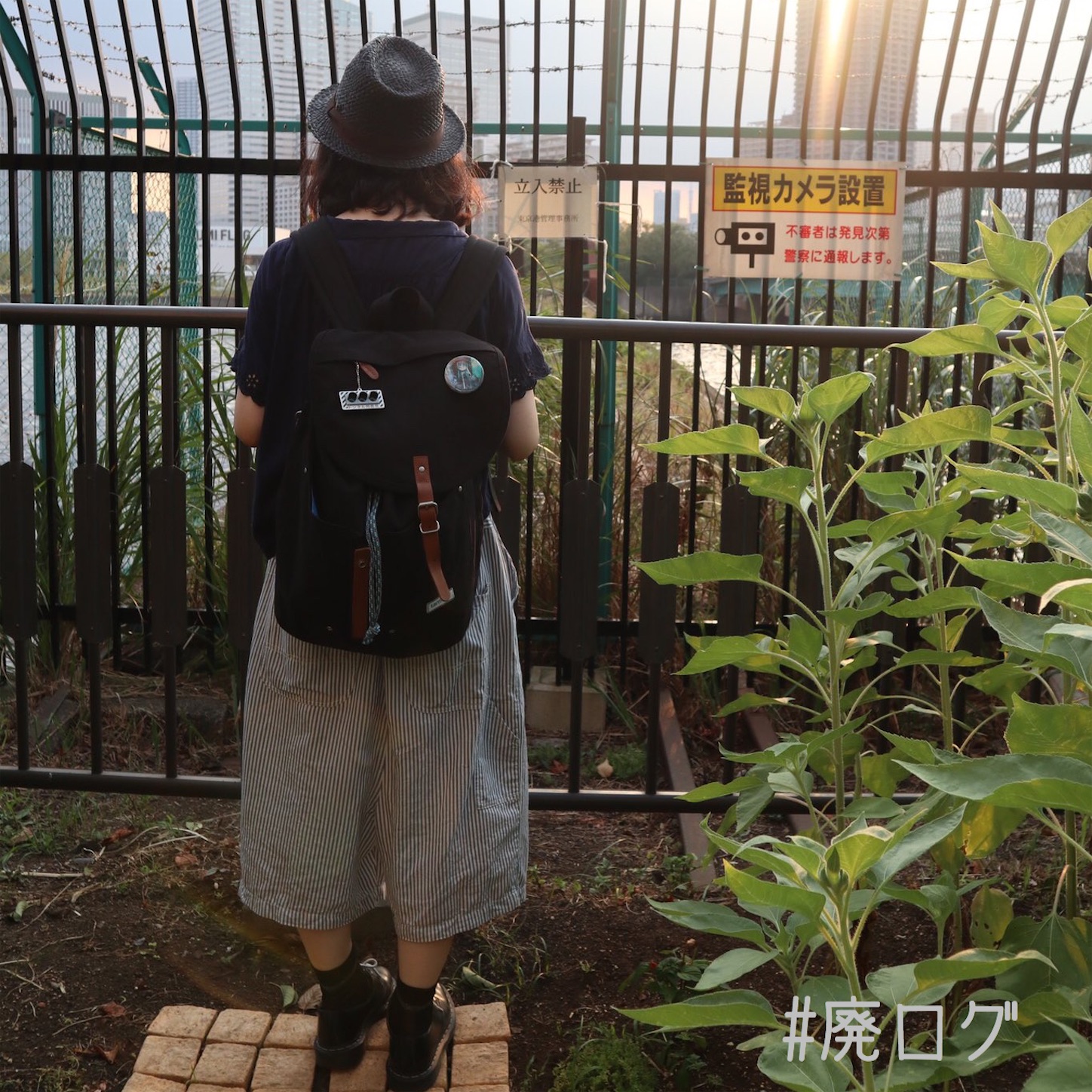 f:id:hiyapa:20200907225725j:image