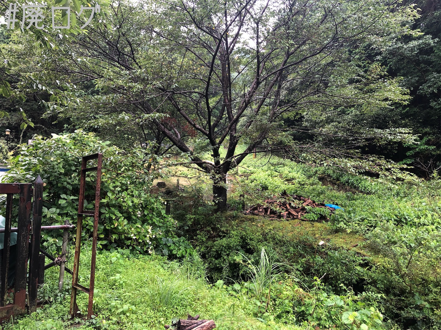 f:id:hiyapa:20200914194215j:image