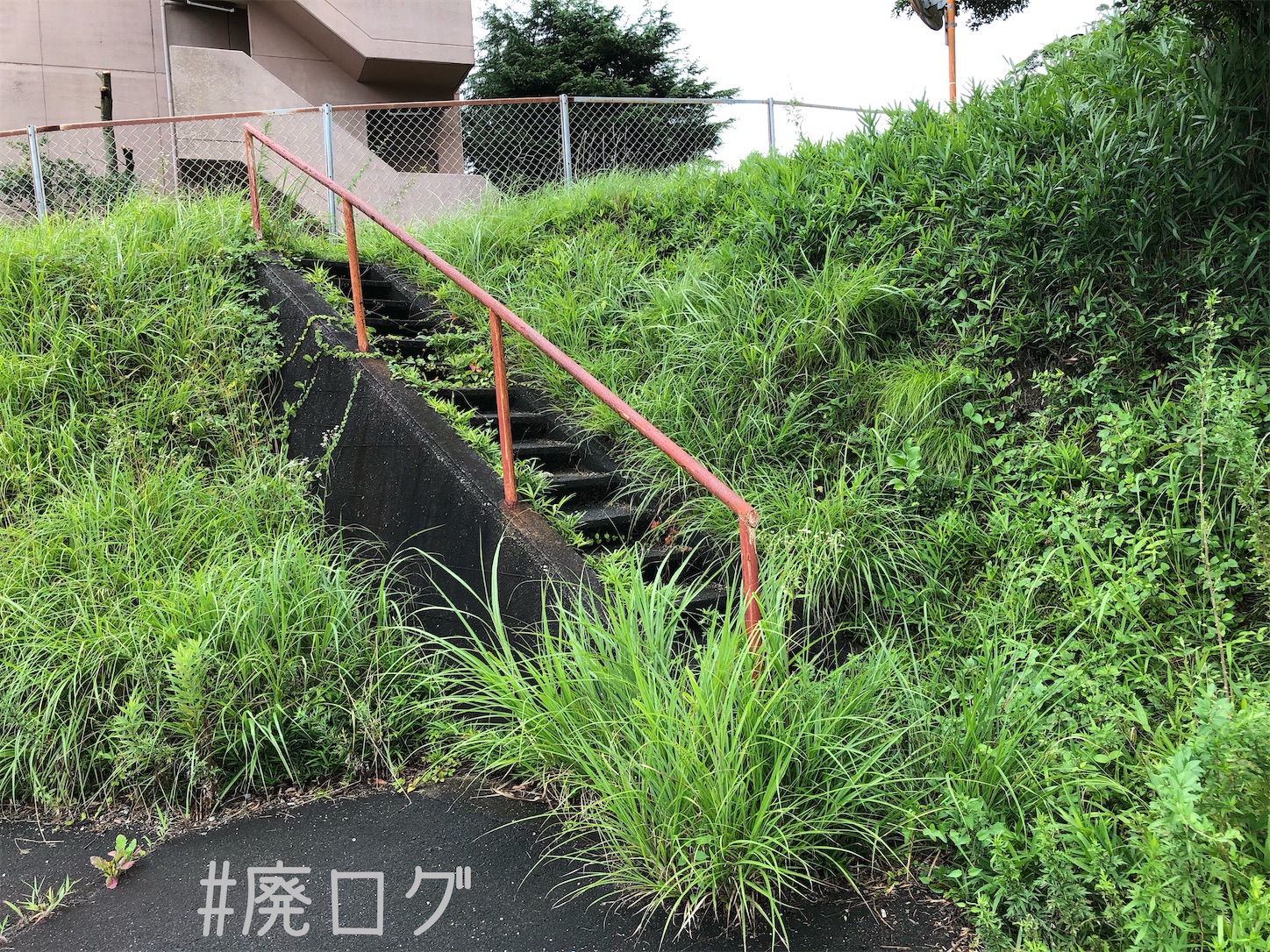 f:id:hiyapa:20200922130330j:image