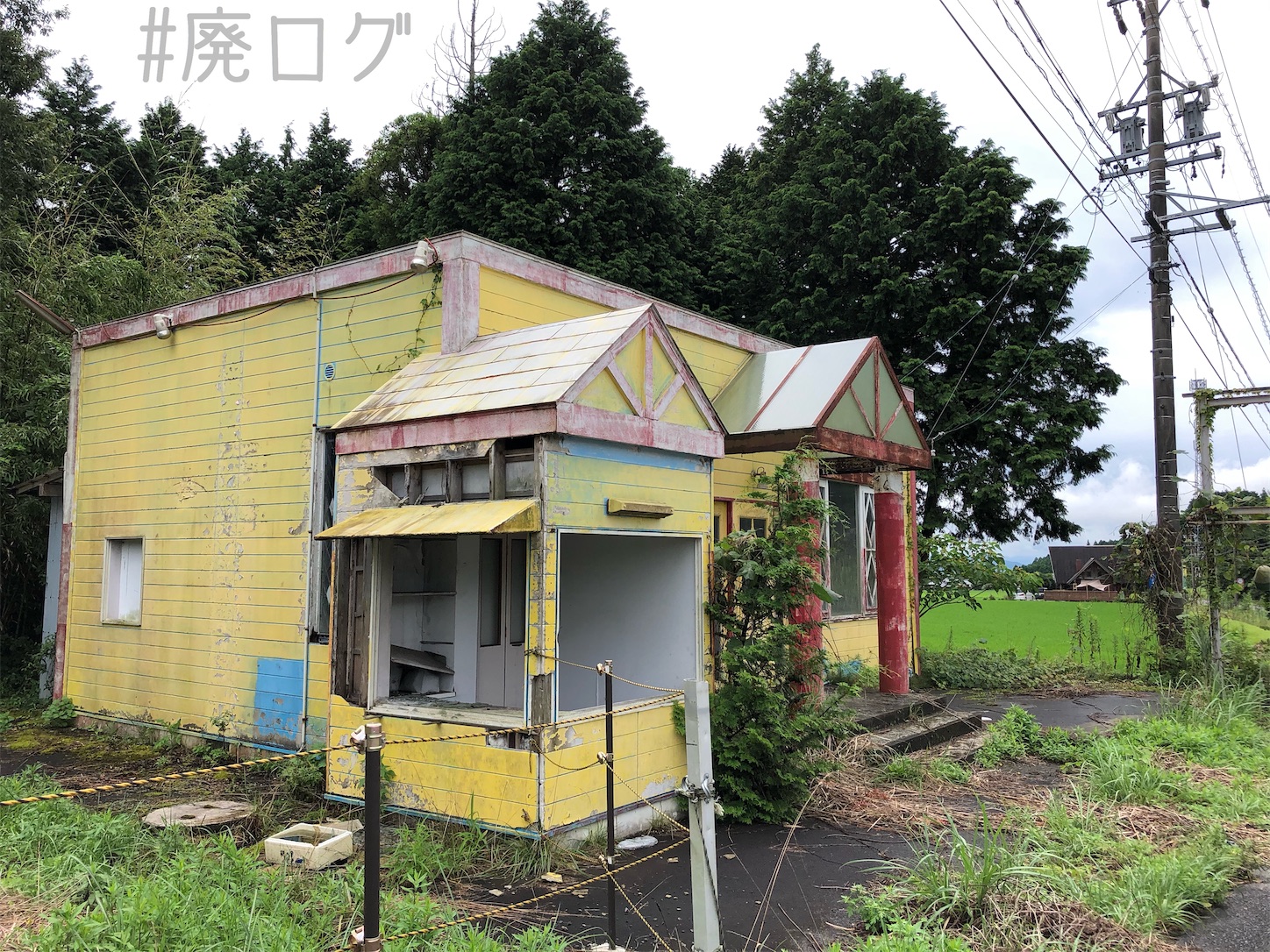 f:id:hiyapa:20200922130611j:image