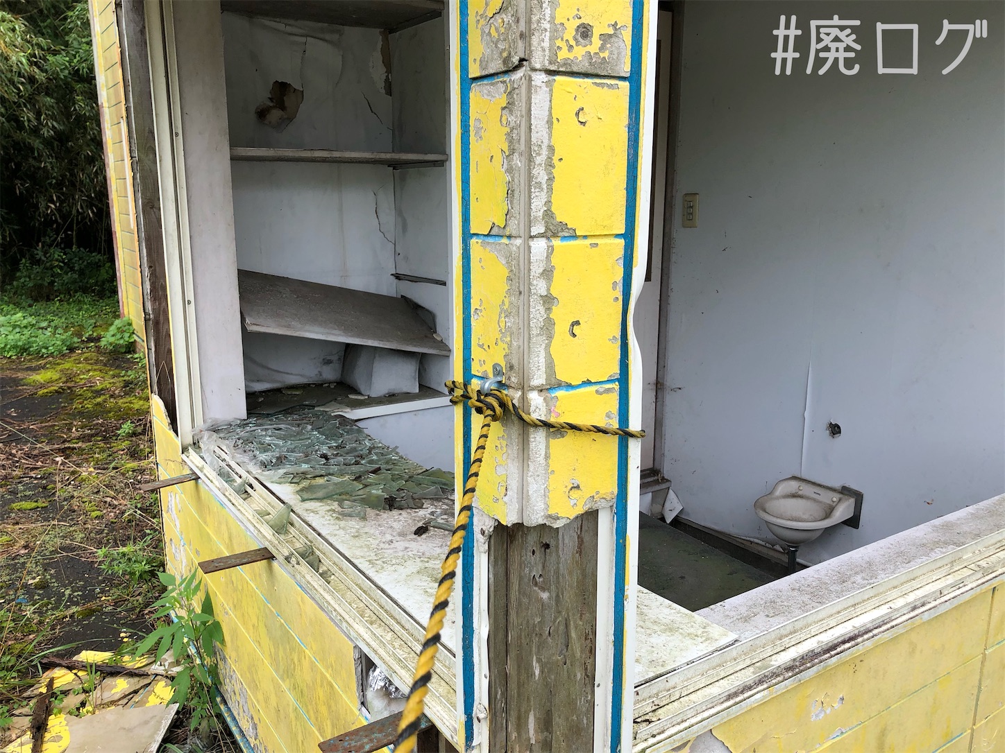f:id:hiyapa:20200922130615j:image