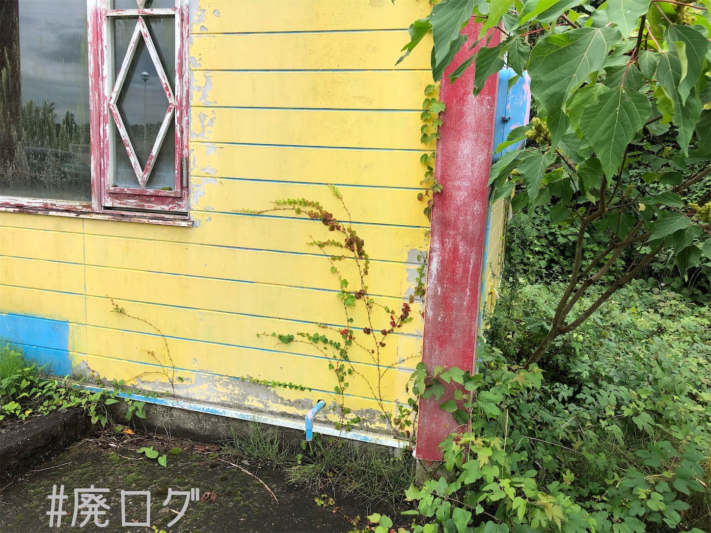 f:id:hiyapa:20200922130619j:image
