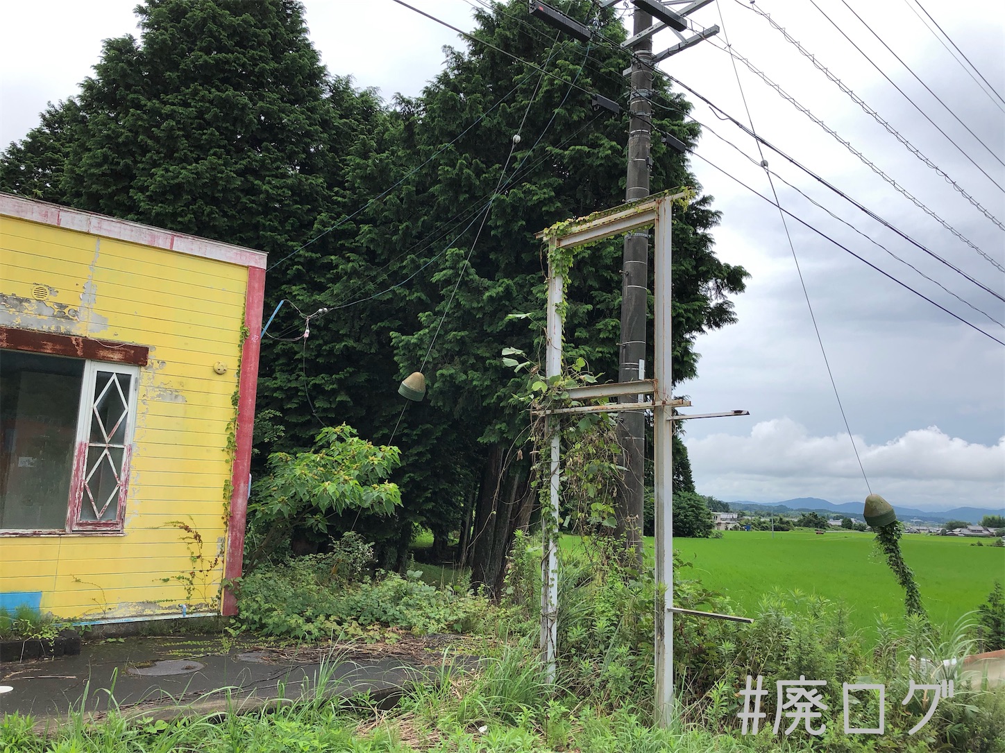 f:id:hiyapa:20200922130631j:image