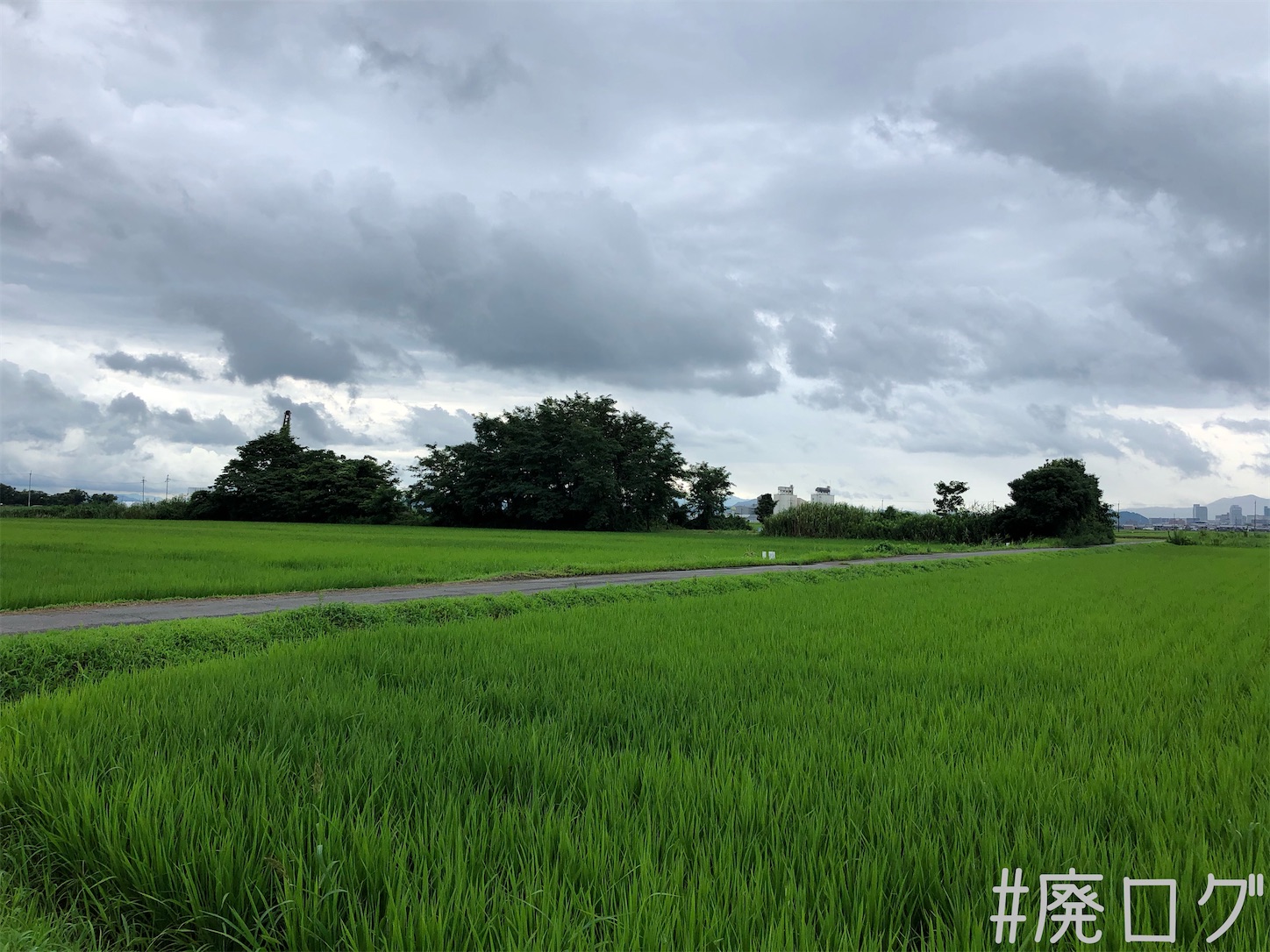 f:id:hiyapa:20200927165318j:image f:id:hiyapa:20200927165318j:image