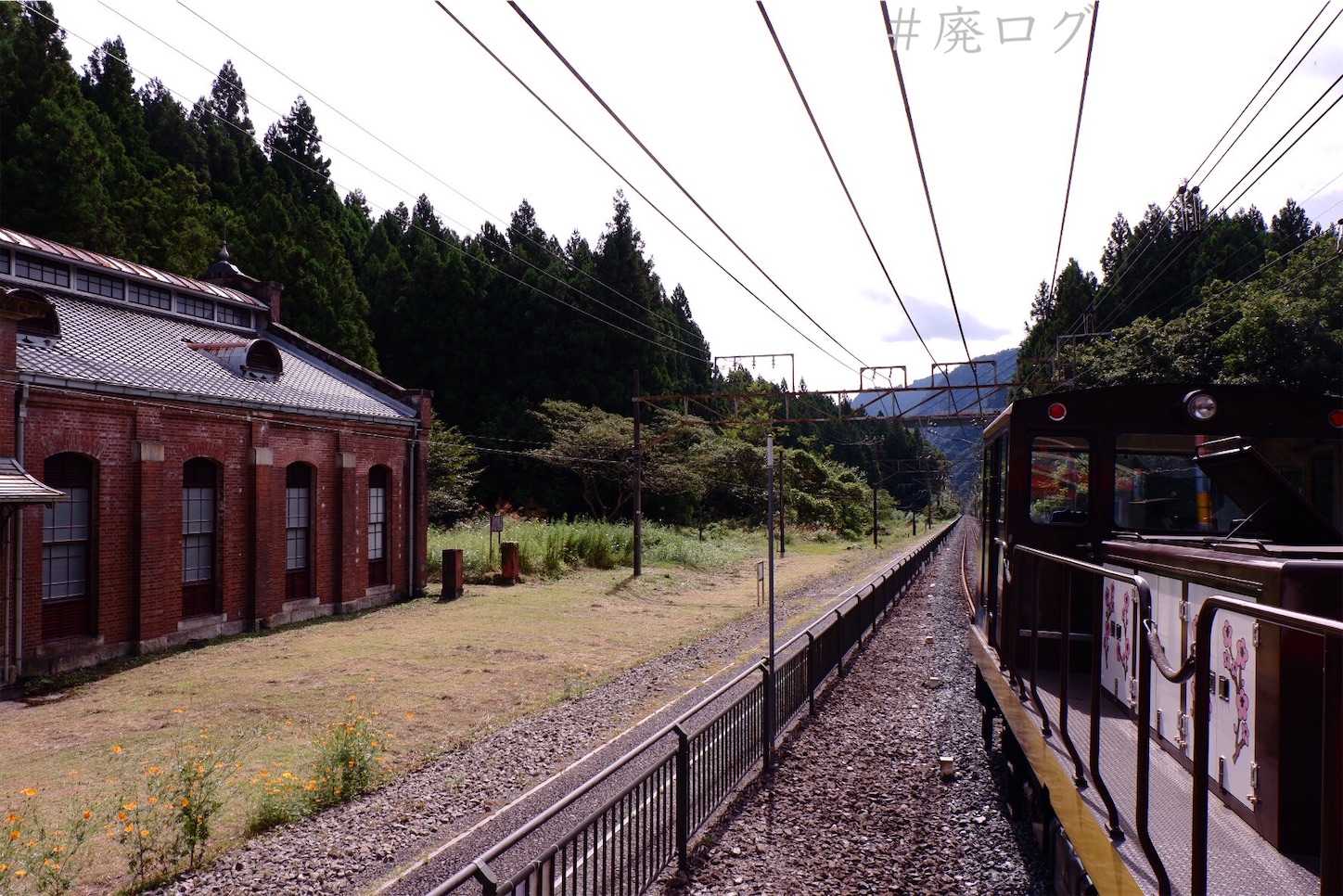f:id:hiyapa:20201004005342j:image