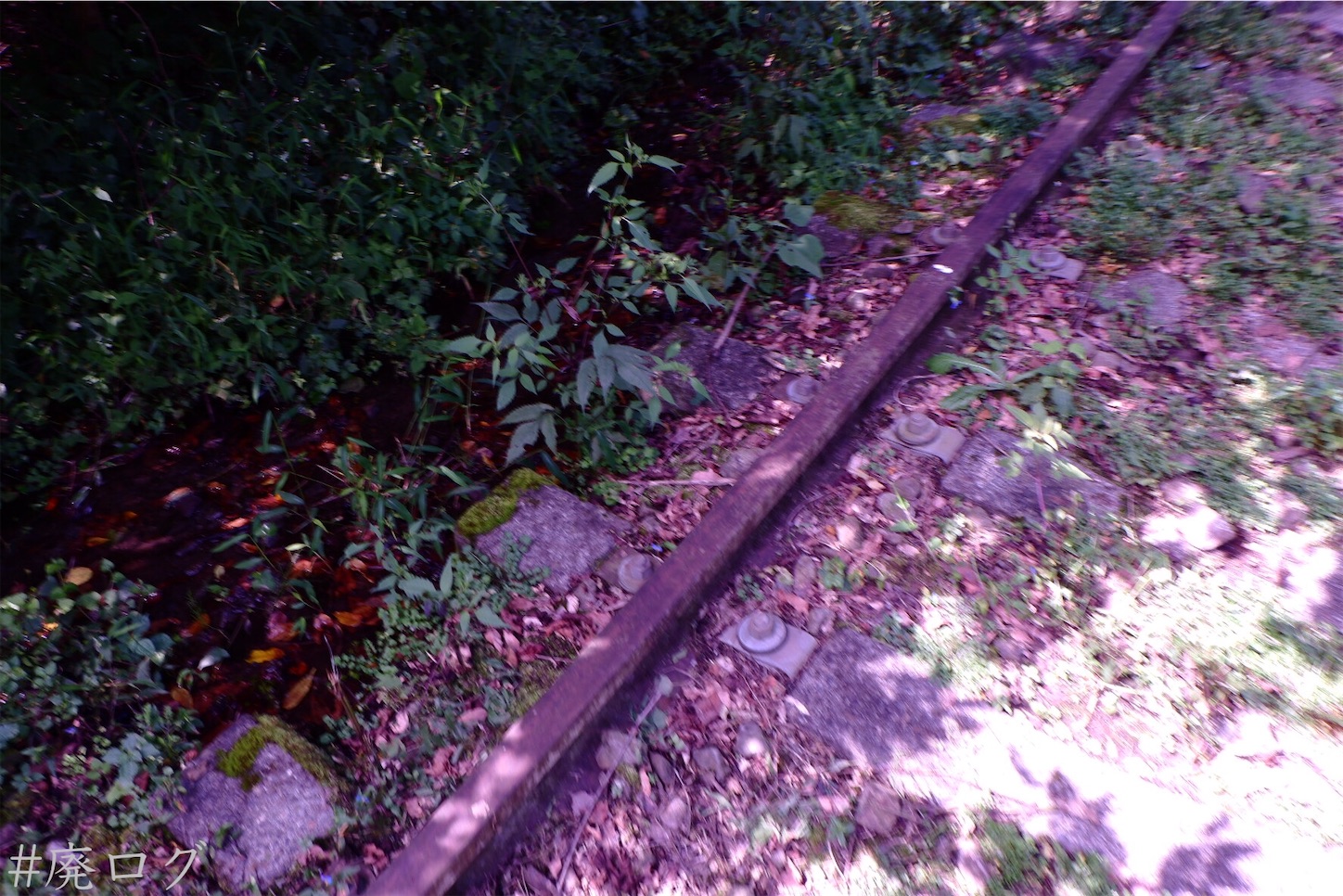 f:id:hiyapa:20201006171128j:image
