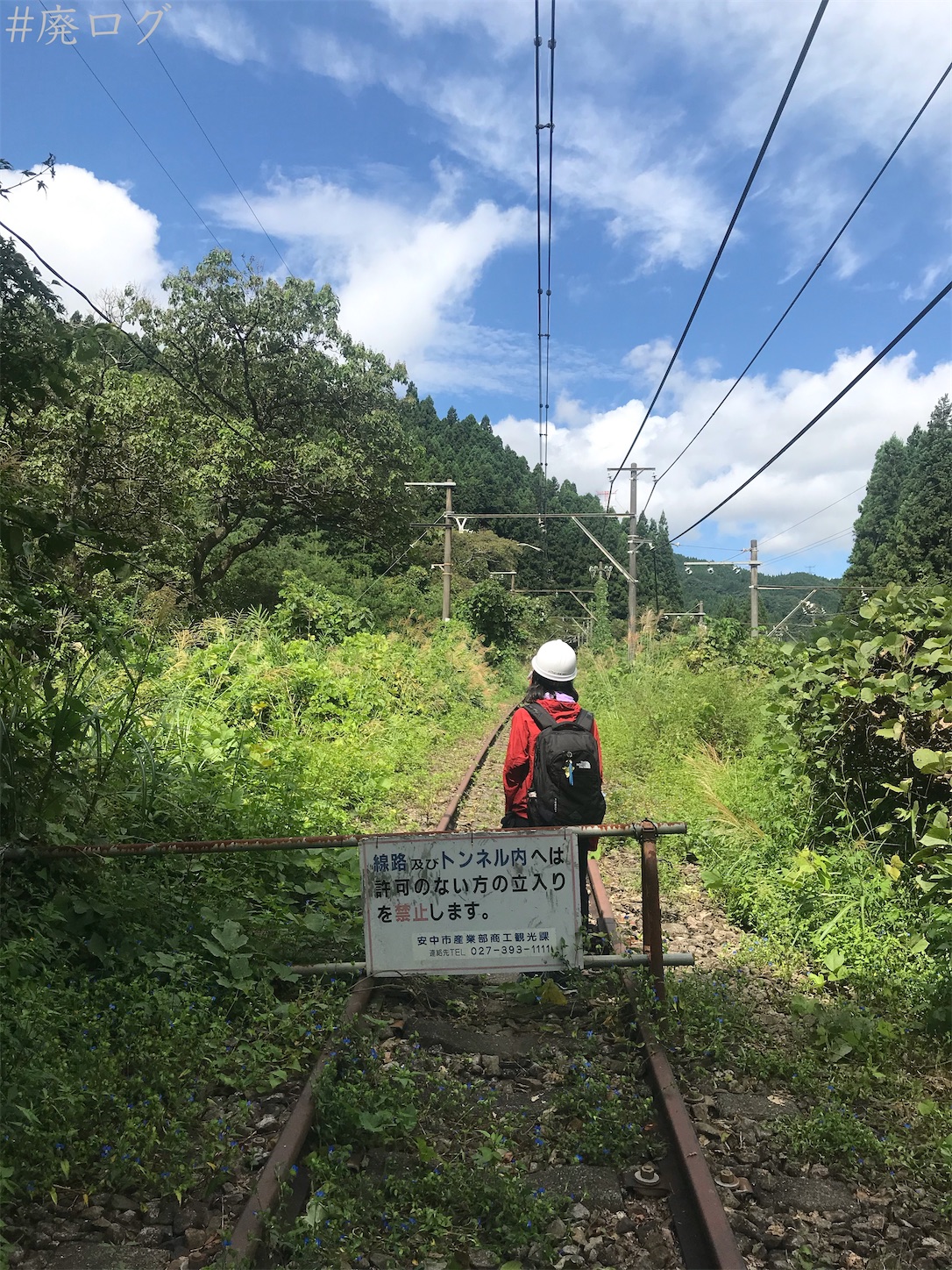 f:id:hiyapa:20201006171132j:image