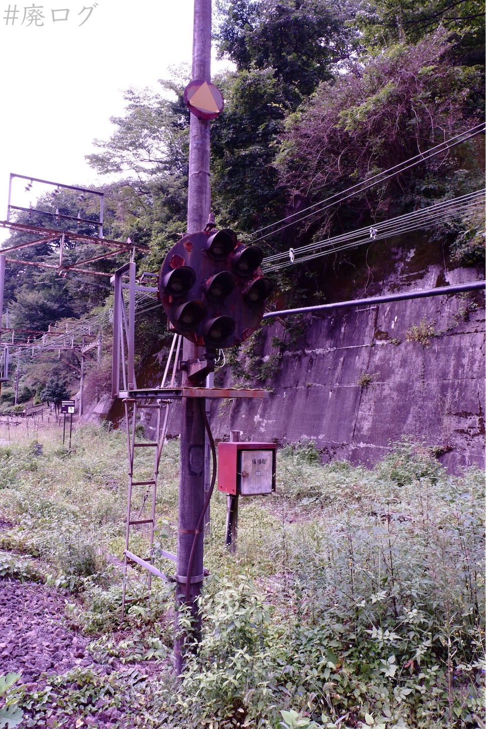 f:id:hiyapa:20201006171149j:image