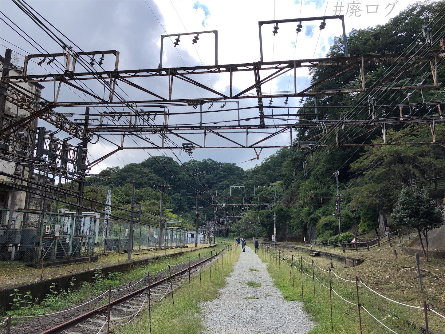 f:id:hiyapa:20201006171215j:image