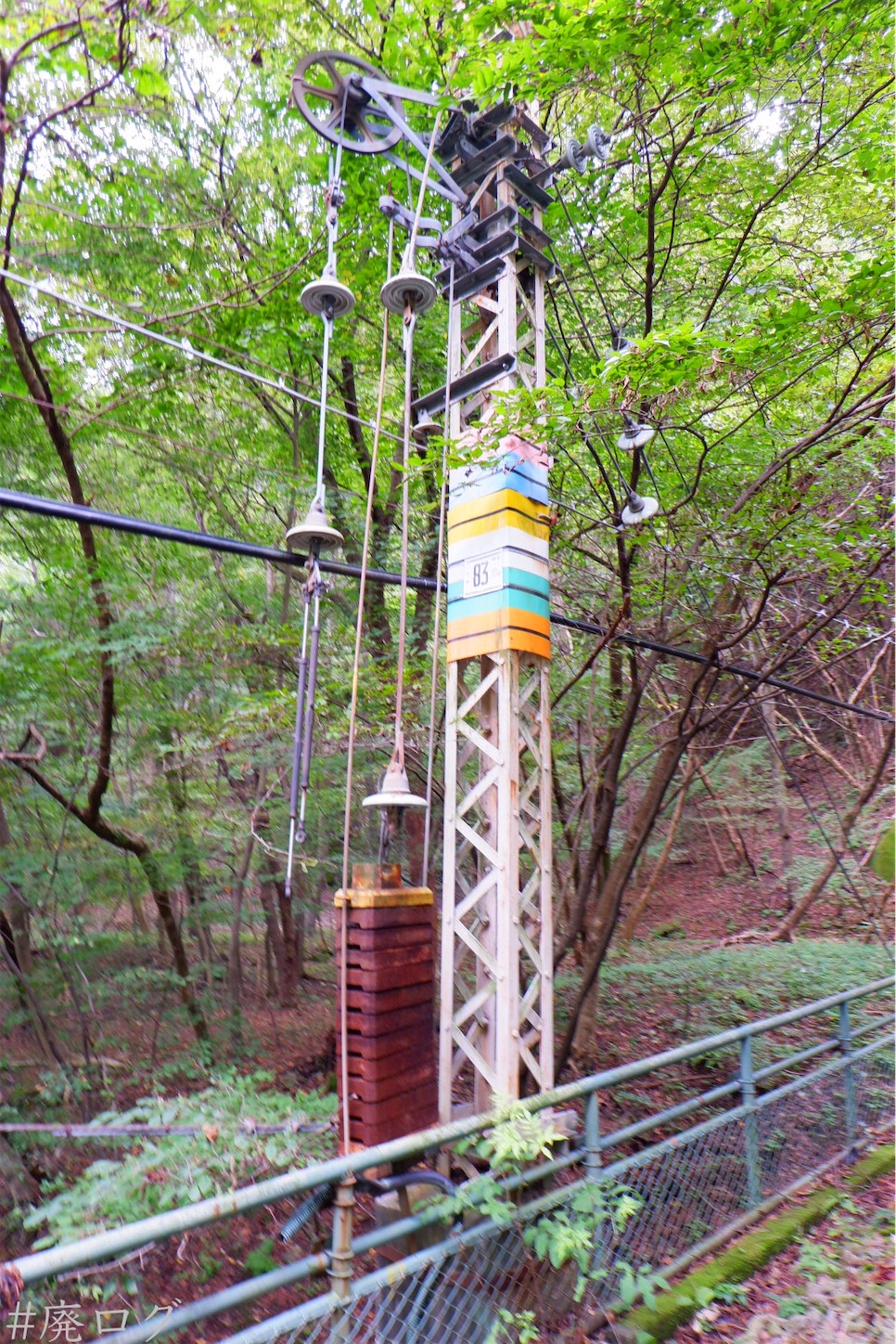 f:id:hiyapa:20201006171241j:image