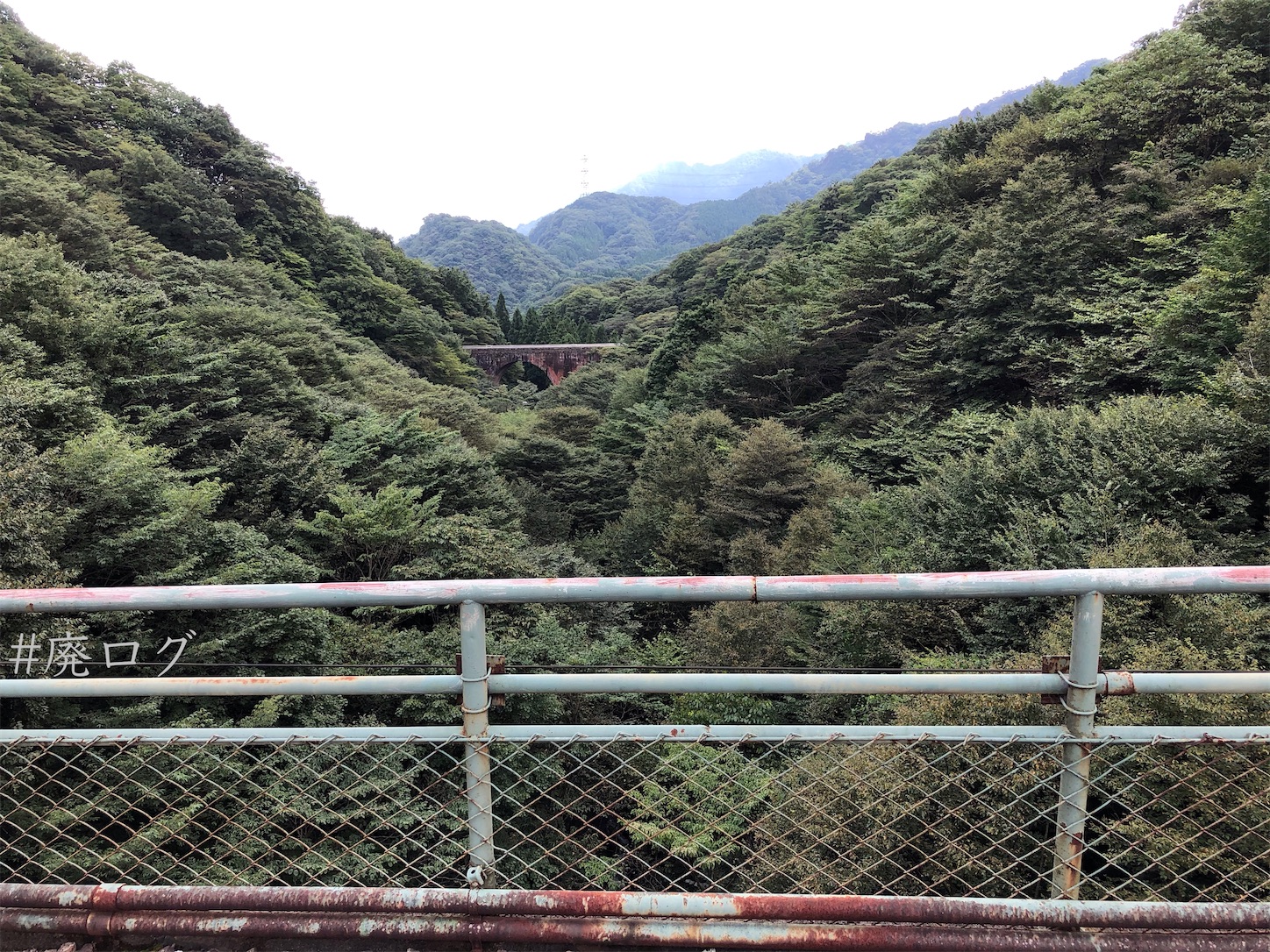 f:id:hiyapa:20201006171245j:image