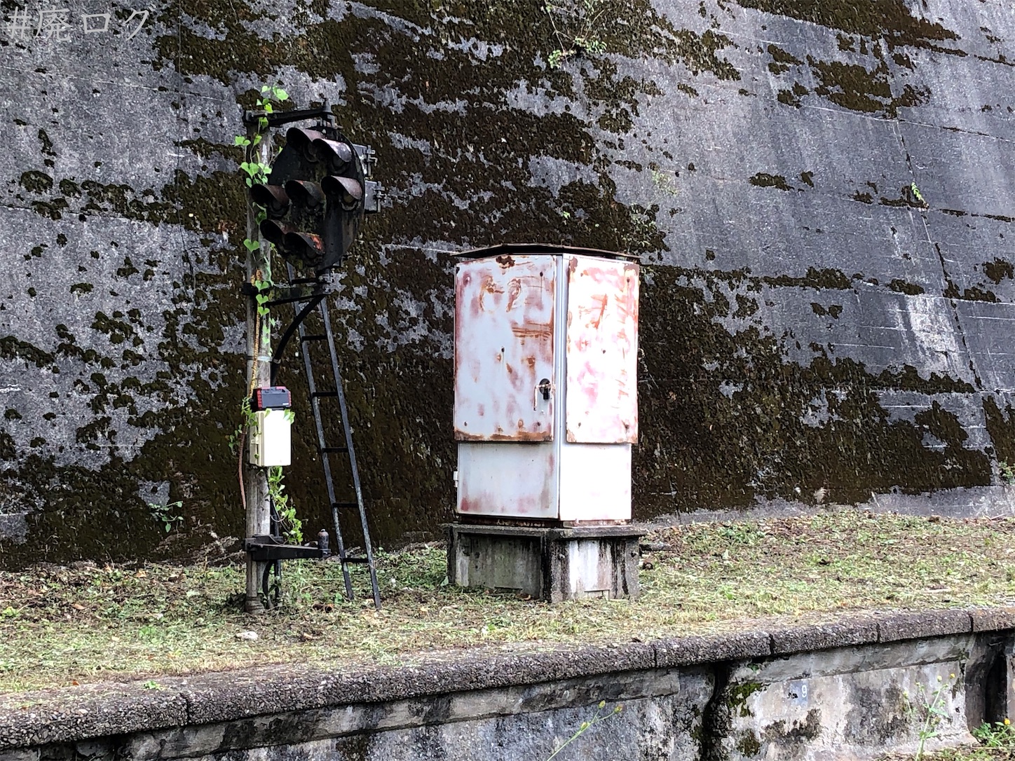 f:id:hiyapa:20201006171249j:image