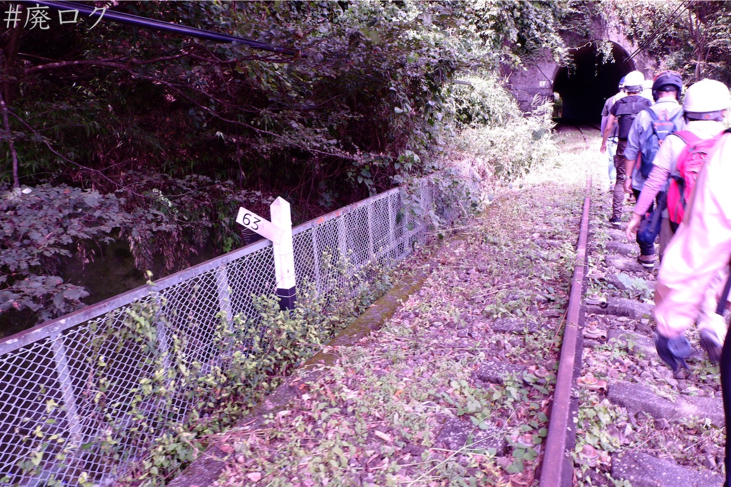 f:id:hiyapa:20201006171303j:image