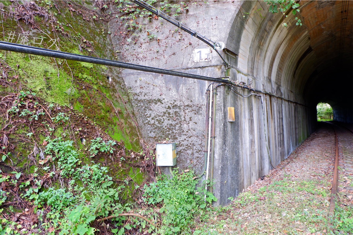 f:id:hiyapa:20201006171345j:image