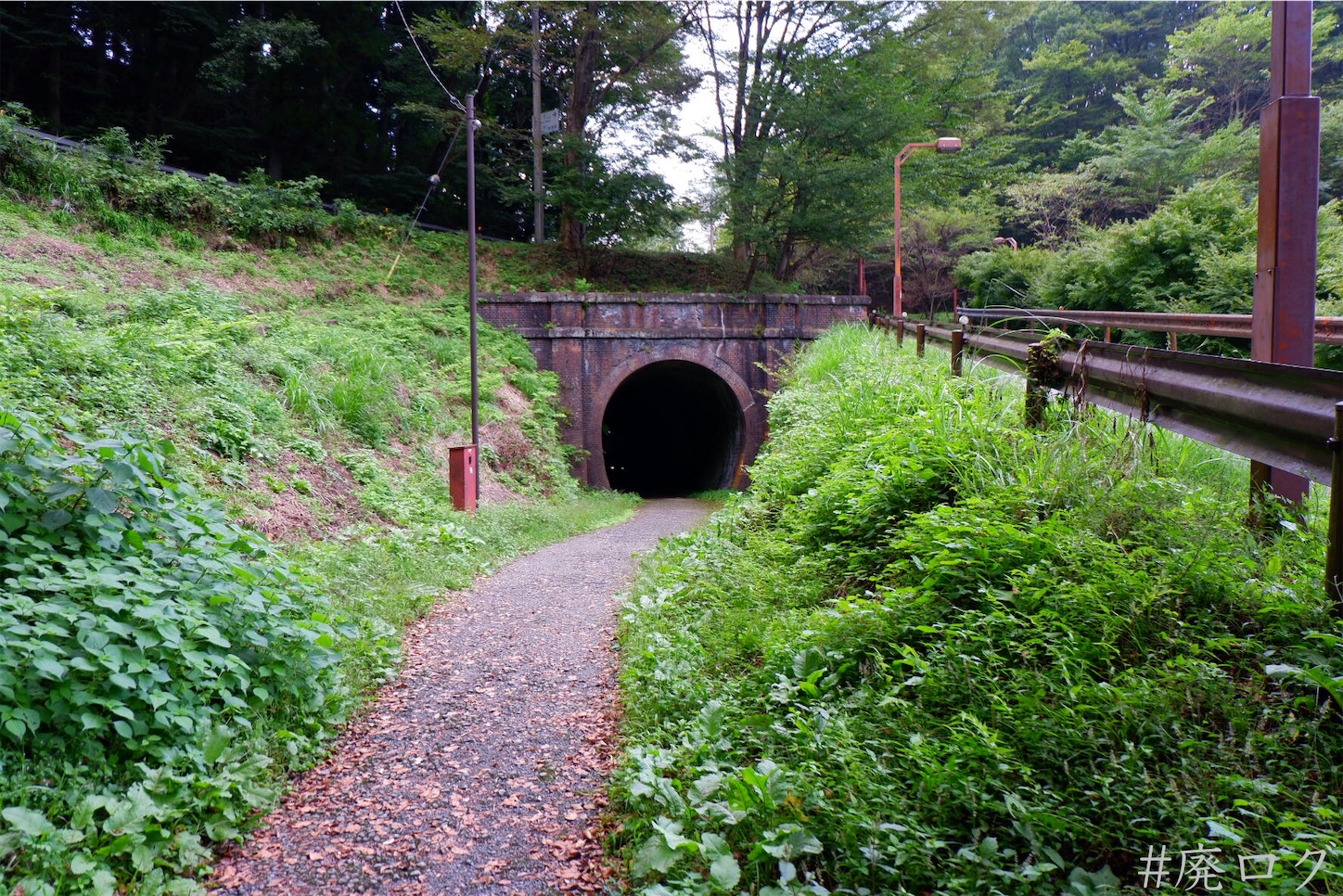 f:id:hiyapa:20201006171350j:image