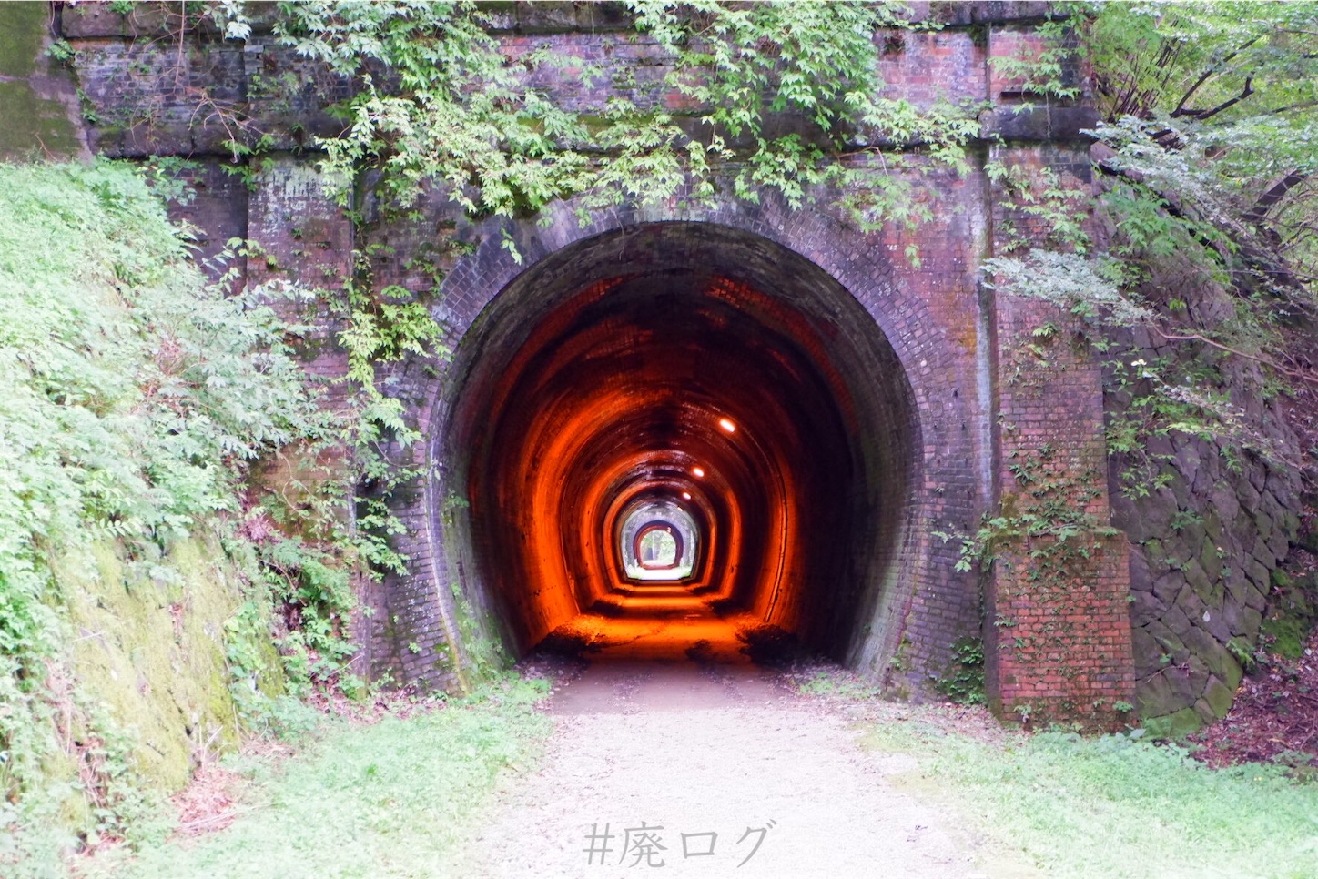 f:id:hiyapa:20201006171407j:image