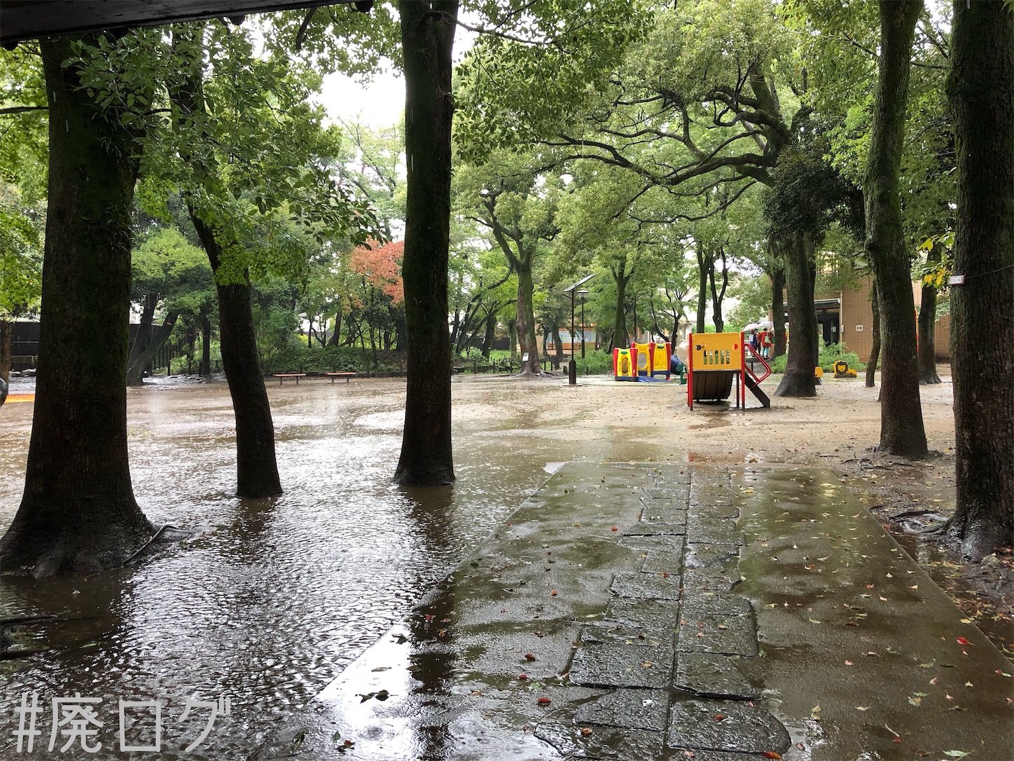 f:id:hiyapa:20201017112726j:image f:id:hiyapa:20201017112726j:image