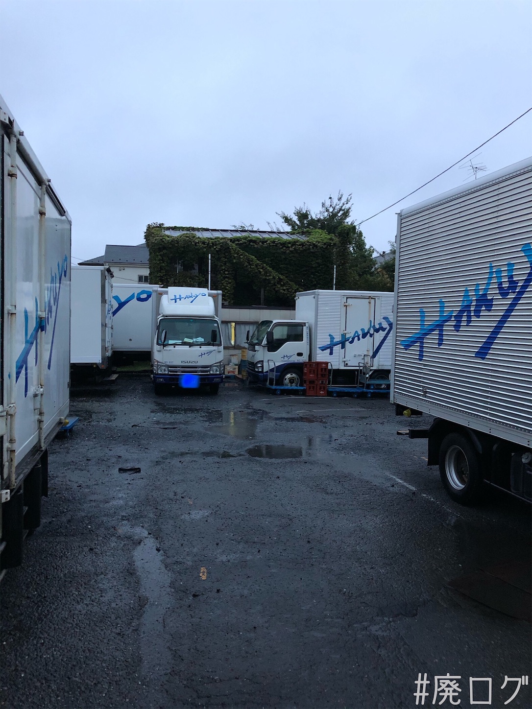 f:id:hiyapa:20201017112823j:image f:id:hiyapa:20201017112823j:image