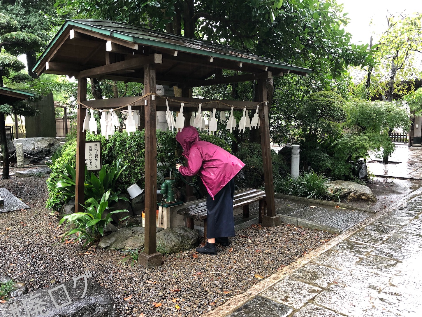 f:id:hiyapa:20201017112904j:image f:id:hiyapa:20201017112904j:image