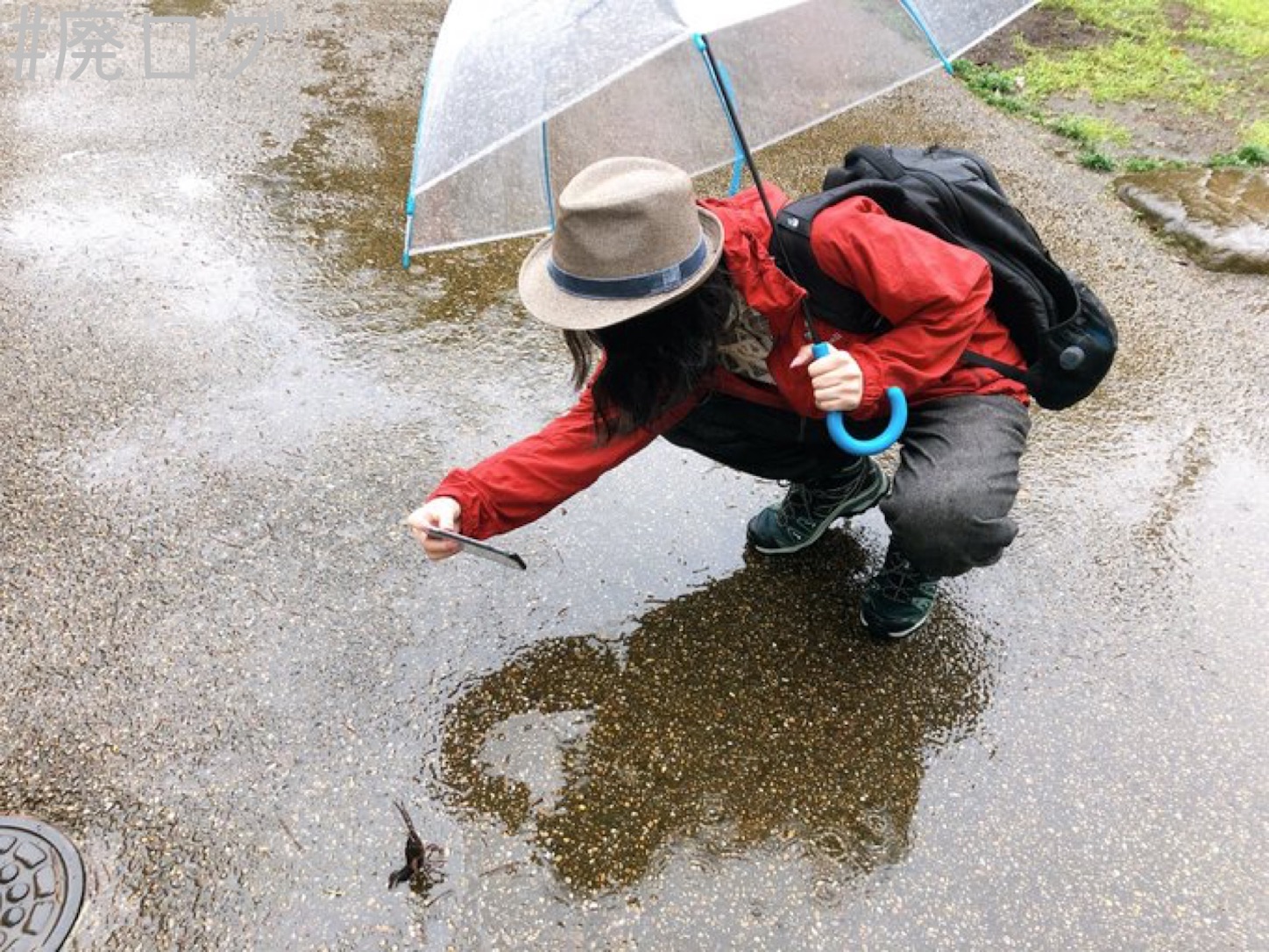 f:id:hiyapa:20201017112959j:image f:id:hiyapa:20201017112959j:image