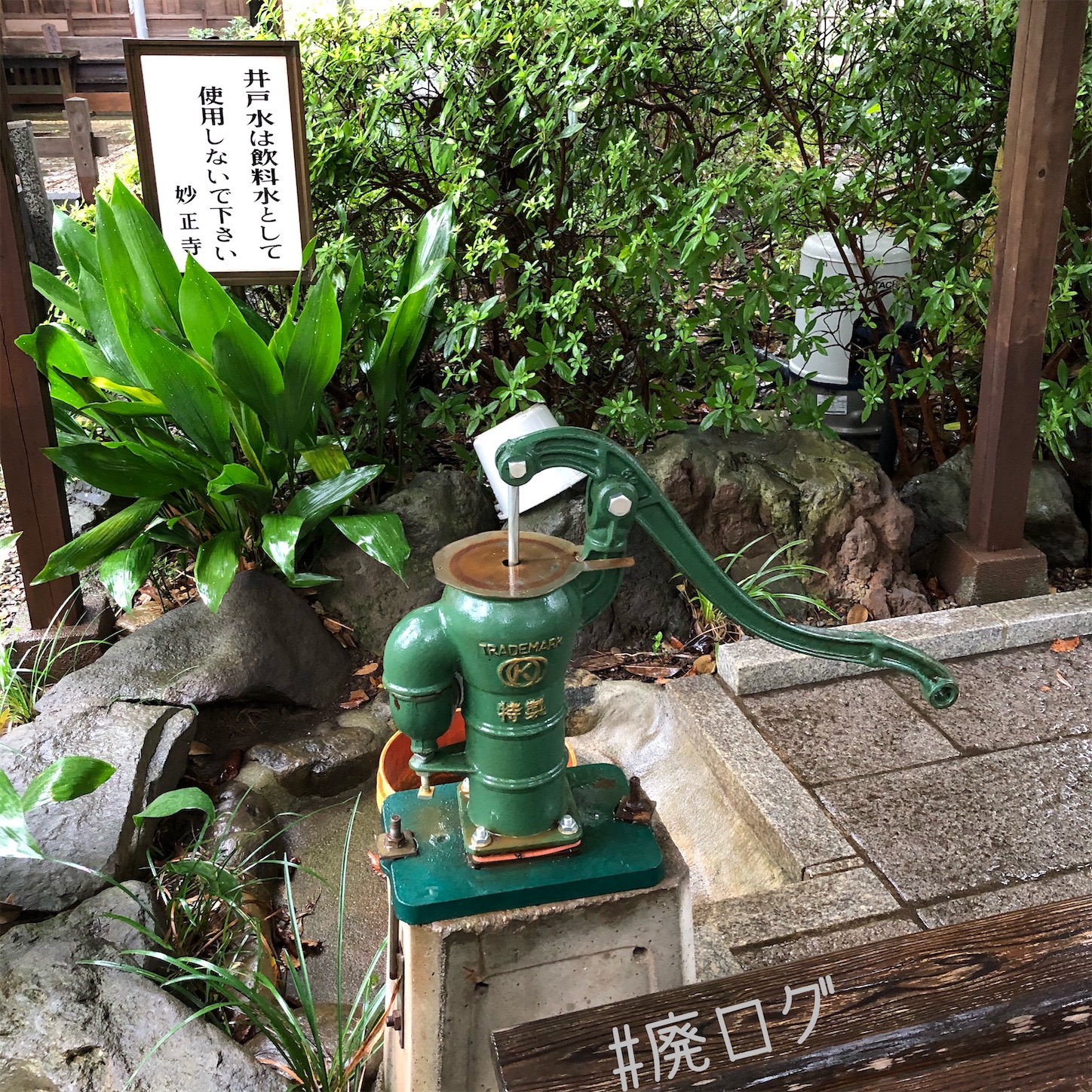 f:id:hiyapa:20201017113059j:image f:id:hiyapa:20201017113059j:image