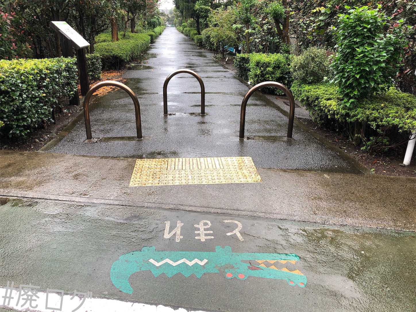 f:id:hiyapa:20201017113145j:image f:id:hiyapa:20201017113145j:image