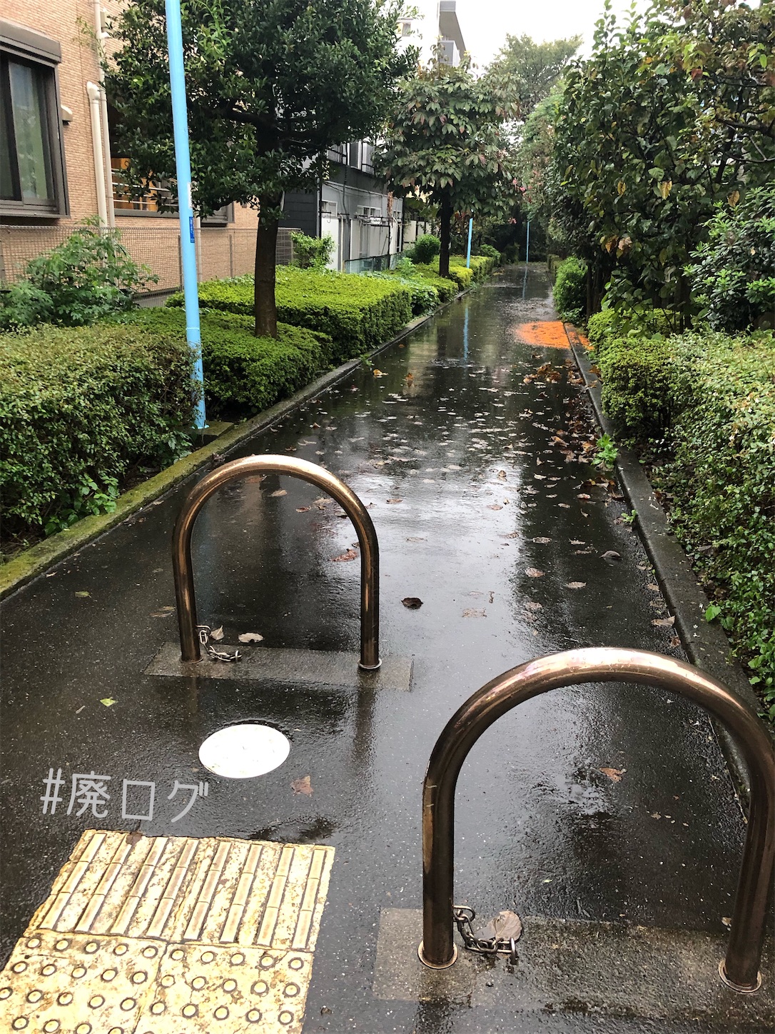 f:id:hiyapa:20201017113226j:image f:id:hiyapa:20201017113226j:image