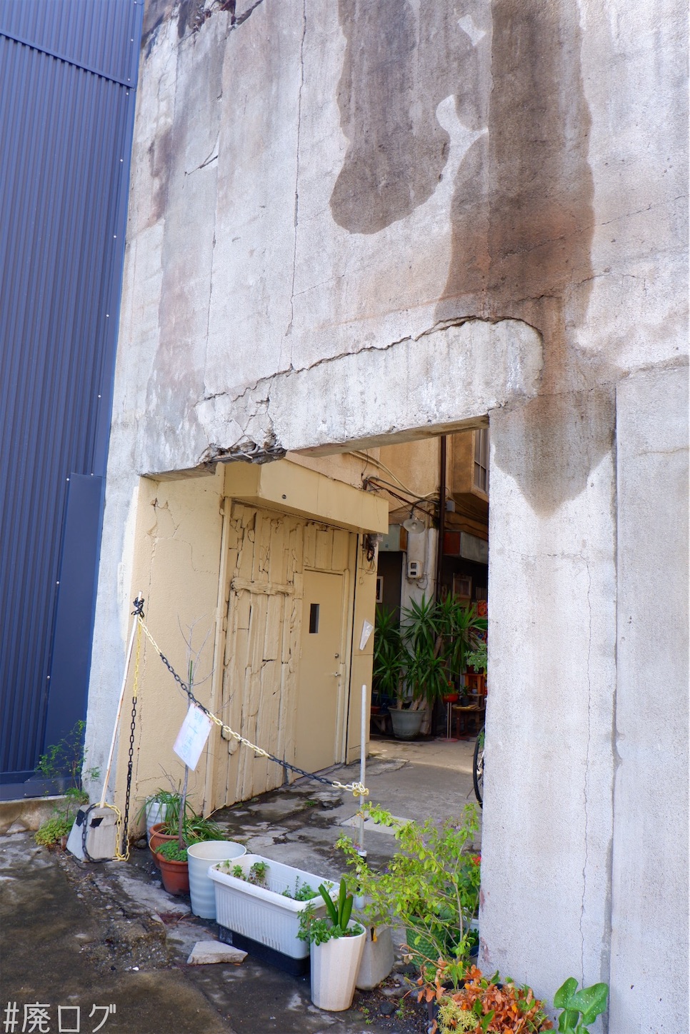 f:id:hiyapa:20201102224924j:image