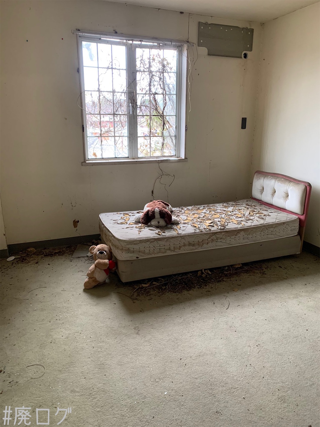 f:id:hiyapa:20201222082050j:image